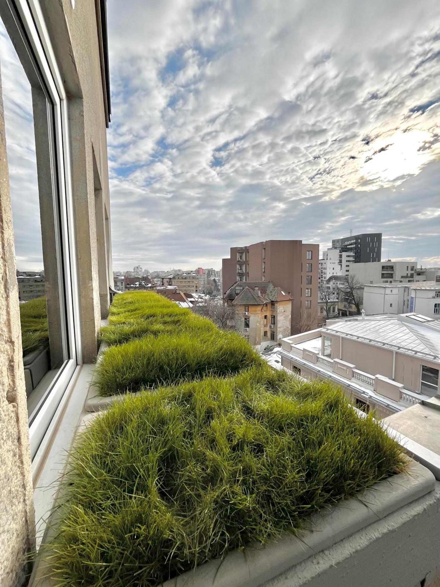 Terrace View Downtown Studio Bukurešť Exteriér fotografie